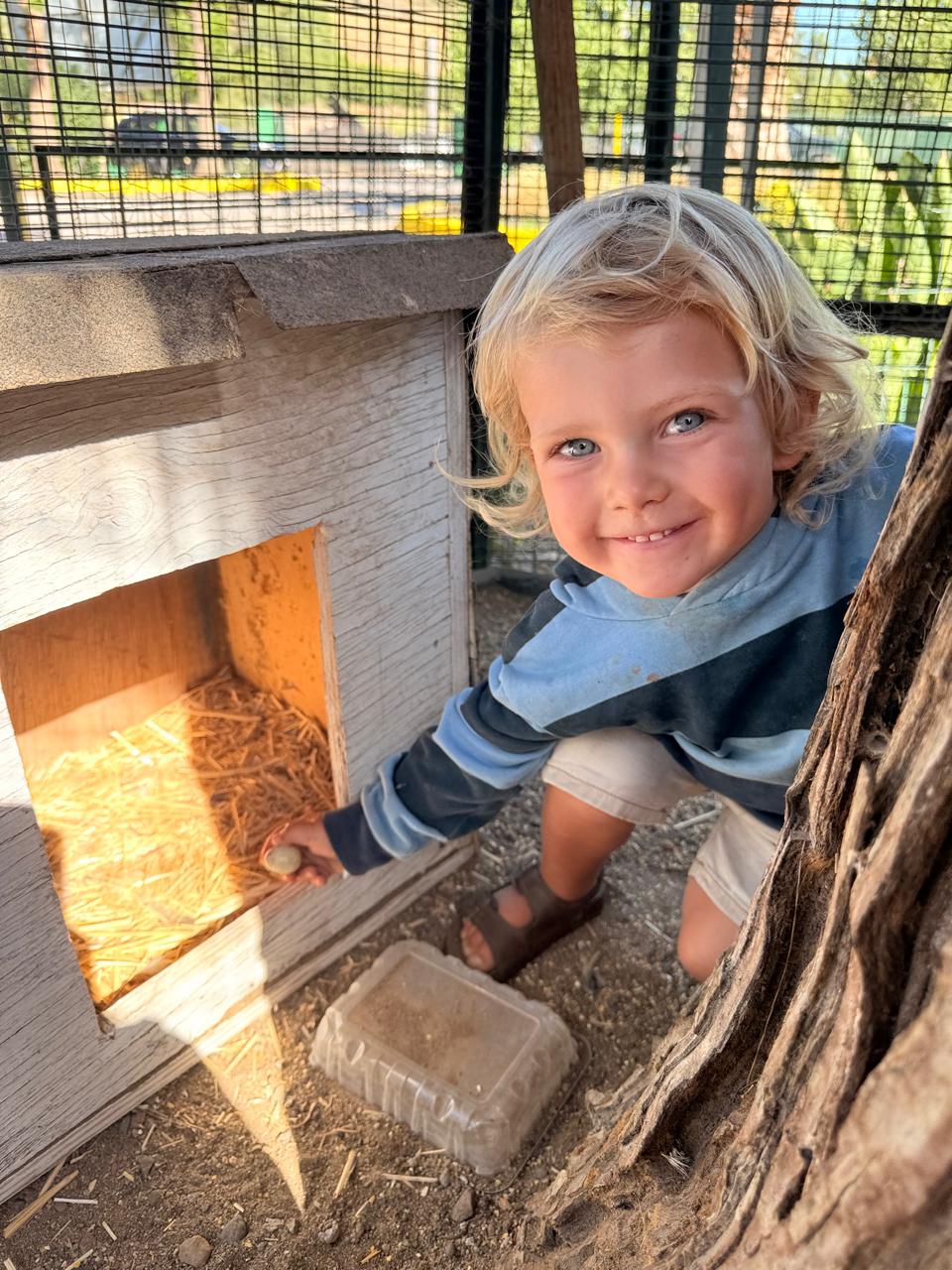 Niño con huevo del gallinero